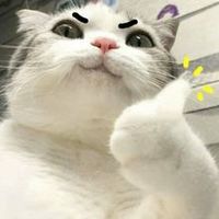 นู๋แพรไหว